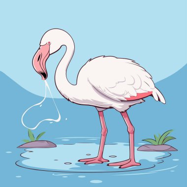 Flamingo suda. Bir flamingonun vektör illüstrasyonu.