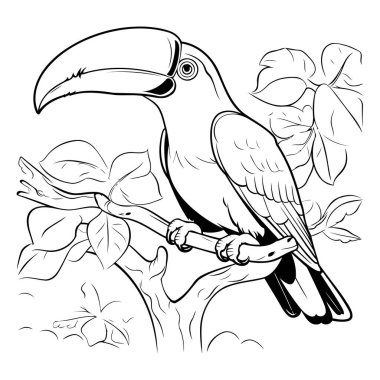 Daldaki Toucan kuşu. Boyama kitabı için Vektör illüstrasyonu