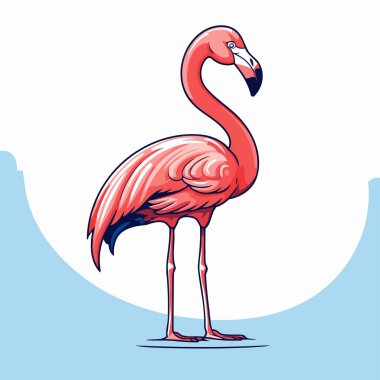Flamingo vektör çizimi. Beyaz arkaplanda yalıtılmış flamingo.