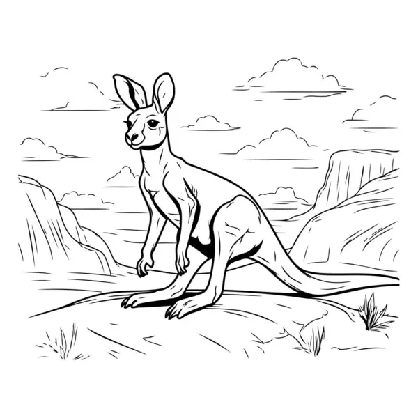 Kanguru Vektör Çizimi Çizimi Kanguru Çizimi — Stok Vektör