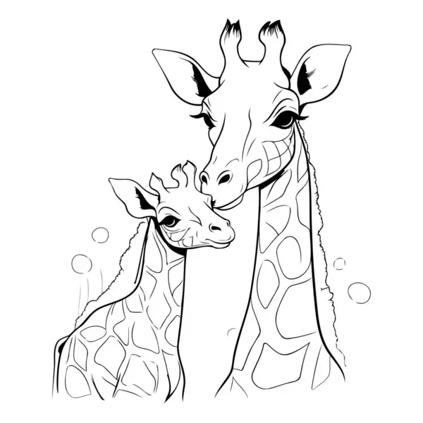 Giraff Mor Och Baby Vektor Illustration Isolerad Vit Bakgrund — Stock vektor
