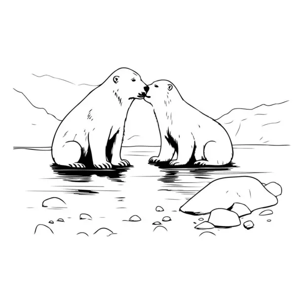 Белые Медведи Векторная Иллюстрация Двух Белых Медведей Реке — стоковый вектор