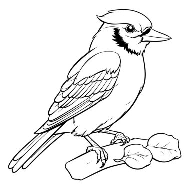 İbikli Jay - Siyah ve Beyaz Çizgi Film İllüstrasyonu. Vektör