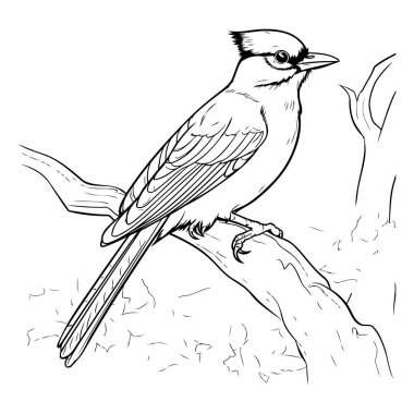 Bir dalda oturan kuş. Tasarımın için çizim. Vektör illüstrasyonu