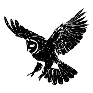 Uçan baykuşun vektör görüntüsü. Dövme tasarımı. Kart için şablon. poster. Pankart. Tişört için yazdır.