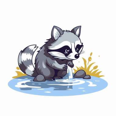 Su birikintisinde su içen rakun. Vektör illüstrasyonu.