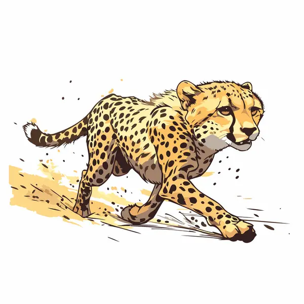 Stock vector Cheetah. Hand drawn vector illustration of cheetah.