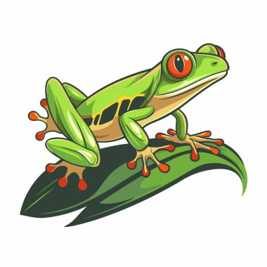 Beyaz arka planda izole edilmiş bir yaprağın üzerindeki kurbağa. Vektör illüstrasyonu.