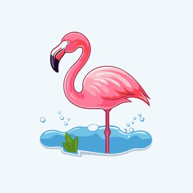 Suda pembe flamingo. Vektör illüstrasyonu beyaz arkaplanda izole edildi.