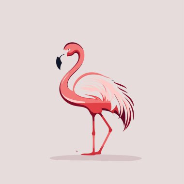 Pembe flamingo. Vektör çizimi. Beyaz arkaplanda izole.