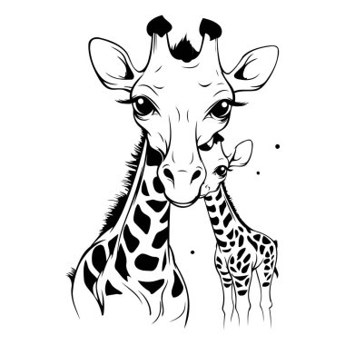 Zürafa siyah-beyaz vektör çizimi beyaz arkaplanda izole edildi.