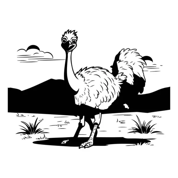 Ostrich Black White Vector Illustration Isolated White Background — Stock Vector
