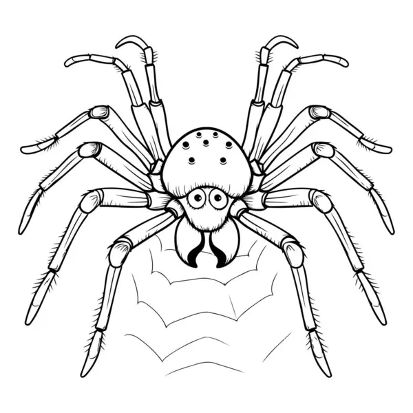 Araña Aislada Sobre Fondo Blanco Ilustración Vectorial Estilo Doodle — Archivo Imágenes Vectoriales