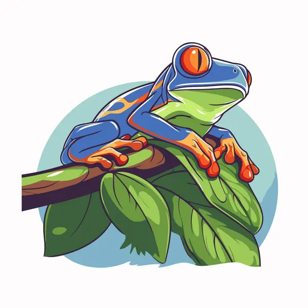 Vector Illustration Red Eyed Tree Frog Sitting Branch — Stock Vector