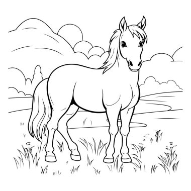 Çayırda bir at. Boyama kitabı için Vektör illüstrasyonu.