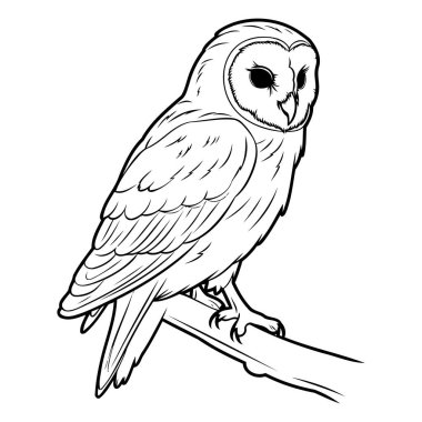 Baykuş bir dalda oturuyor. Baykuşun vektör illüstrasyonu.