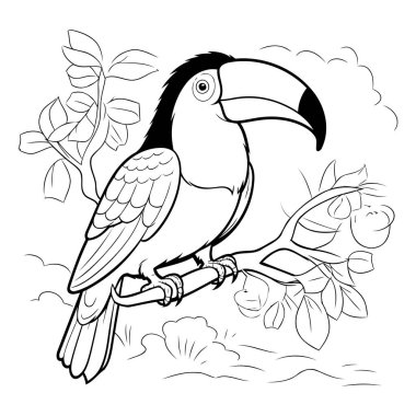 Çocuklar için boyama kitabı. Çiçekli bir dalda oturan Toucan.