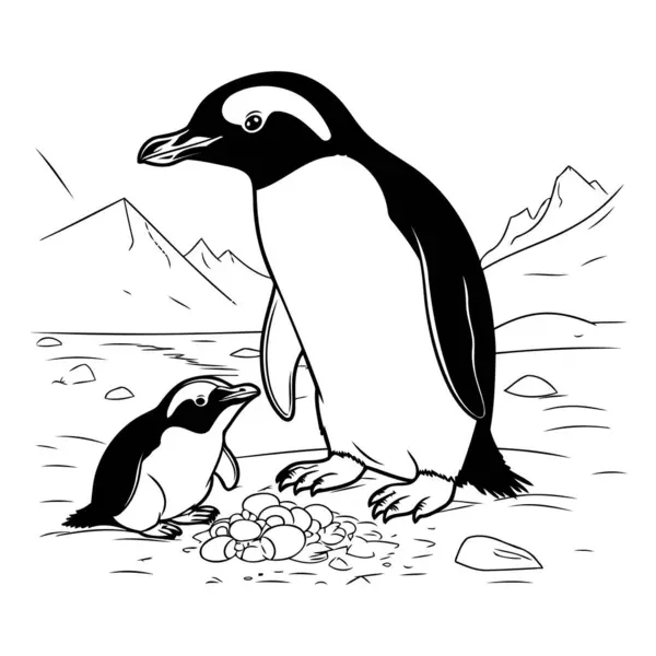 Tučňák Kočka Skále Černobílá Vektorová Ilustrace — Stockový vektor
