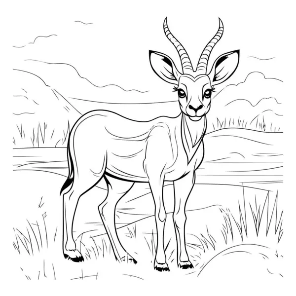 Antilop sahada. Boyama kitabı için siyah ve beyaz vektör çizimi.
