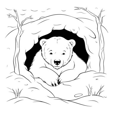 Mağaradaki bir kutup ayısının resmi. siyah ve beyaz