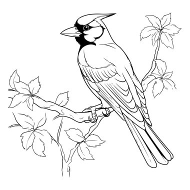 Daldaki kuşun vektör görüntüsü. Siyah beyaz illüstrasyon.