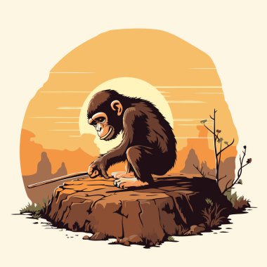 Şempanze gün batımında bir kayanın üzerinde oturuyor. Vektör illüstrasyonu.