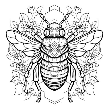 Bal arısı. Boyama kitabı için siyah ve beyaz vektör çizimi.