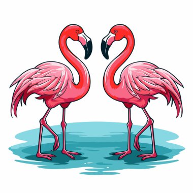 Birbirine aşık iki flamingo. Vektör illüstrasyonu beyaz arkaplanda izole edildi.