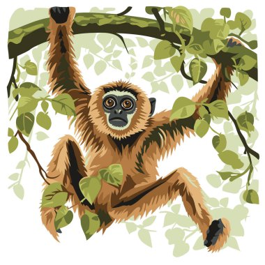 Gibbon bir ağacın dalında. vektör illüstrasyonu.