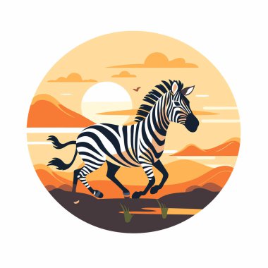 Günbatımının arka planında zebra var. Düz biçimli vektör illüstrasyonu