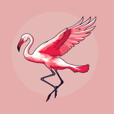 Pembe arka planda pembe flamingo. Bir flamingonun vektör illüstrasyonu.