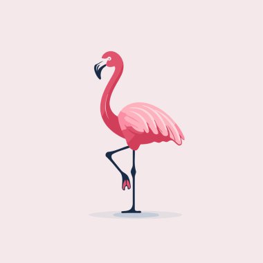 Flamingo. Çizgi film tarzında vektör illüstrasyonu. Beyaz arkaplanda izole.