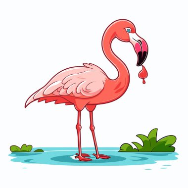 Flamingo vektör illüstrasyonu beyaz arkaplanda izole edildi. Flamingo çizgi filmi.