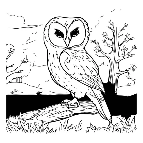 Owl Sitter Gren Treet Vektorillustrasjon Fargebok – stockvektor