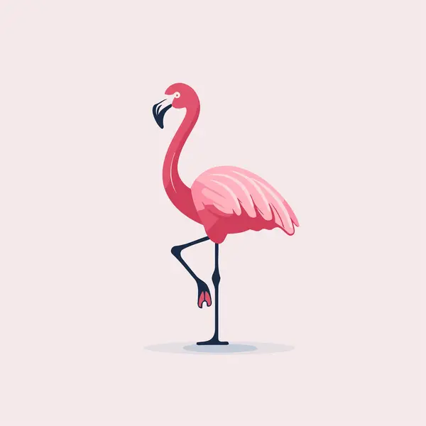 Flamingo Vektorová Ilustrace Kresleném Stylu Izolováno Bílém Pozadí — Stockový vektor