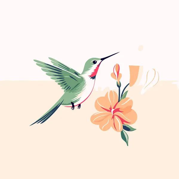 Koliber Kwiatem Koliber Kwiatem Ilustracja Wektora — Wektor stockowy