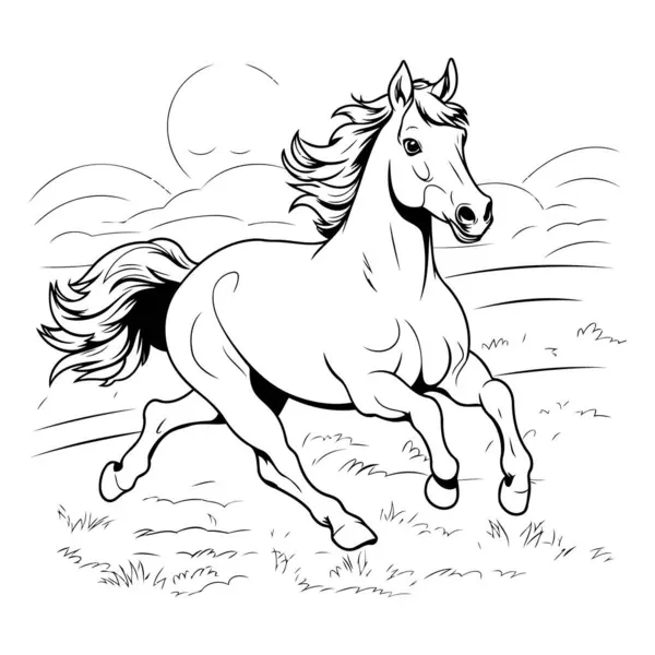 Schwarz Weiße Vektorillustration Eines Pferdes Das Auf Dem Feld Läuft — Stockvektor