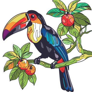 Meyveli bir dalda oturan Tukan kuşu. Vektör illüstrasyonu.