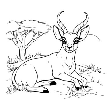 Savanadaki antilopların vektör çizimi. Siyah ve beyaz resim.