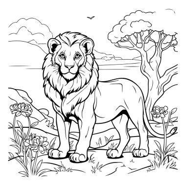 Aslan vahşi doğada. Boyama kitabı için siyah ve beyaz vektör çizimi.