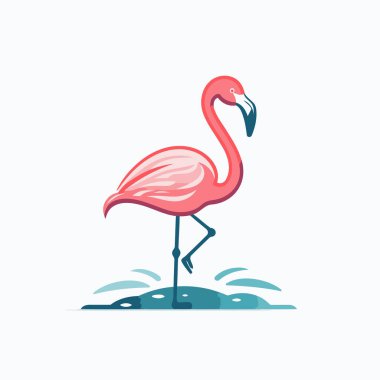 Flamingo. Vektör çizimi. Beyaz arkaplanda izole.
