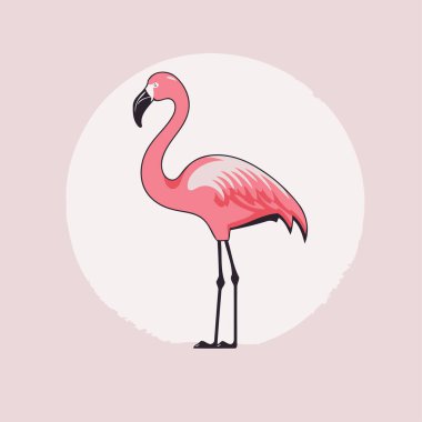 Hafif arka planda pembe flamingo. Düz biçimli vektör illüstrasyonu.