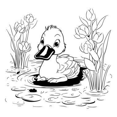 Gölde yüzen şirin bir ördek yavrusunun siyah beyaz çizimi.