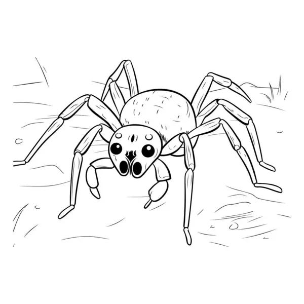 Spider Black White Vector Illustration Coloring Book Page — Stock Vector