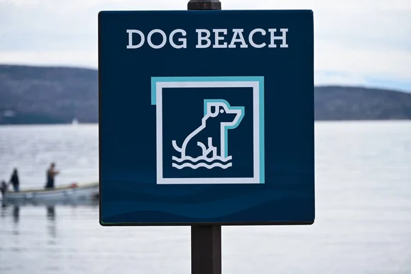 Mavi bir tabela üzerinde, arka planda denizde yüzen bir balıkçı teknesinin olduğu bir köpek kumsalını gösteren bir köpek resmi..