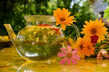 Sağlıklı otlarla dolu cam bir çaydanlık yaz güneşi tarafından aydınlatılmış yeşil bir bahçenin zemininde parlak yaz çiçekleriyle çevrili bir masanın üzerinde oturur. Olası konsept: sağlık, bitkisel ilaçlar, fayda.