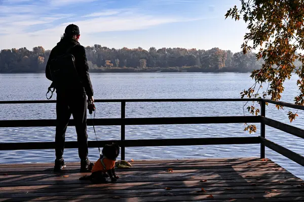 Bir sonbahar sabahının erken saatlerinde, bir adam sonbahar manzarasına ve sakin bir nehre hayran olur, yanında küçük bir köpek otururken, sabırla yürüyüşün devam etmesini bekler..