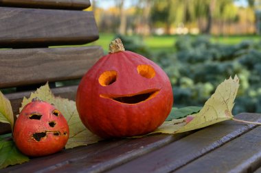 Parktaki bankta sarı yapraklar ve üzerinde farklı yüzler oyulmuş iki turuncu balkabağı parlak sonbahar güneşi tarafından aydınlatılmış yeşil ve sarı bitkilerin arka planına karşı..