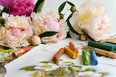 Taze pembe ve kırmızı şakayık çiçekleri, onları çizmek için hazırlanmış renkli pastellerin yanında, masanın üzerinde yatıyor.