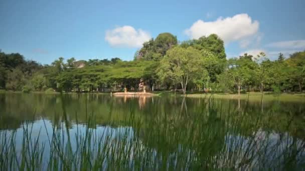 Revele Belas Paisagens Parque Público Verde Com Lagoa Sob Céu — Vídeo de Stock